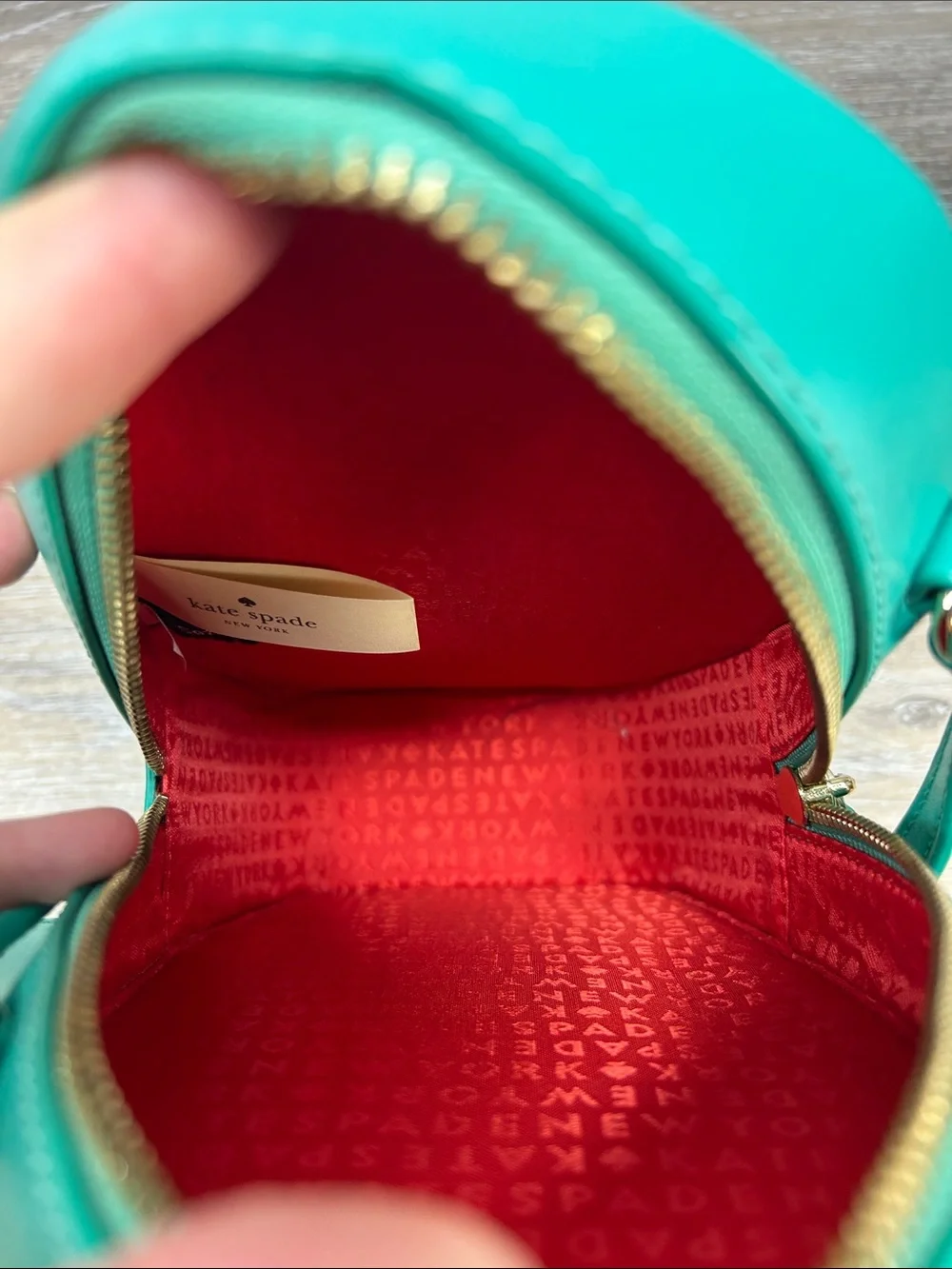 2965 Kate Spade Green Cactus Crossbody Bag with Pink Flower 222965 - Picture 4 of 4